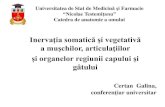 Inervaţia somatică şi vegetativă a muşchilor, articulaţiilor şi ......Planul prelegerii:. Plexul cervical în inervatia somatică a formatiunilor anatomice din regiunea capului