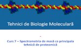 Tehnici de Biologie Molecularămarius.mihasan/teaching/pdfs/... · 2020. 12. 8. · Spectrometria de masă 08.12.2020 Tehnici de biologie moleculară –Curs 7 Pagina nr. 2 II. 1.Principii