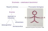 Enzimele catalizatori biochimici Reactii chimice Procesele biologice · 2020. 3. 16. · 1971 obtin diferite enzime de restrictie 1978 Premiu Nobel pentru fiziologie si medicina H.