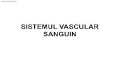 SISTEMUL VASCULAR SANGUIN - Weebly · 2019. 11. 25. · • Artere de tip elastic • Artere musculare • Arteriole • Metaarteriole • Venule postcapilare • Vene mici • Vene