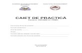 CAIET DE PRACTIC - ASEmanagement.ase.ro/.../11/caiet-practica-Ansamblul-firmei.pdf · 2020. 11. 9. · ACADEMIA DE STUDII ECONOMICE BUCURESTI FACULTATEA DE MANAGEMENT CAIET DE PRACTIC
