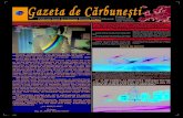 Gazeta de Cărbuneştiprimariacarbunesti.ro/files/decembrie 2008.pdf · 2019. 4. 2. · in vatra de sat Cojani oraş Tg- Carbunesti (plan de situaţie anexat). Art.9. - Se atribuie