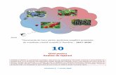 10...Seria “Documente de lucru pentru sprijinirea pregătirii proiectelor de mobilitate urbană durabilă în România – 2017-2020” 10 Ghid pentru Analiza de Opțiuni JASPERS