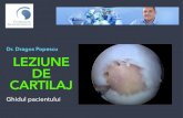 Dr. Dragos Popescu LEZIUNE DE CARTILAJcelui de “Artroplastie a Genunchiului”. Este coordinatorul tematicii de genunchi a Planului Național Spaniol de Formare în Artroscopie (PNFA)