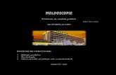 MOLDOSCOPIE - USPEE · 2020. 1. 29. · MOLDOSCOPIE Political analysis issues Year. 23 (2019), no. 4 (867) Registered at the State University of Moldova in 1997 (founded on 1 October,