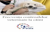 Frecvența controalelor veterinare la câini · 2020. 4. 28. · Haideți să descoperim împreună cât de des ar trebui să mergem cu cățelul la veterinar și pentru ce. În scop