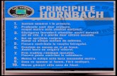 PRINCIPIILE HORNBACH · 2020. 12. 1. · PRINCIPIILE HORNBACH Suntem numărul 1 în proiecte. Hornbach este o afacere de familie, permanent orientată către viitor, având o tradiţie