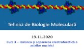 Tehnici de Biologie Molecularămarius.mihasan/teaching/pdfs/...19.11.2020 Tehnici de biologie moleculară –Curs 3 Pagina nr. 21 2. coloranți de tip SYBR –ca și bromura de etidiu,