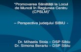 “Promovarea Sănătății la Locul de Muncă în Regiunea Centru … 2_01_DSP_judet_Sibiu.pdf · 2013. 5. 31. · în Regiunea Centru (CPSLM)” ID:22802 Proiect cofinanțat din