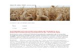Asociatia pentru Promovarea Alimentului Romanesc · Web view2020/07/10  · GHID AFIR pe intelesul tuturor! Oportunitatile si conditiile de accesare a fondurilor UE In iul. 10, 2020