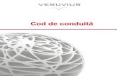 Cod de conduită - Vesuvius · 2020. 2. 26. · 2 Vesuvius / Cod de conduită Cuprins 03 09 05 10 06 11 07 12 08 14 Valorile Noastre Sănătate, siguranță și mediu Comerț, clienți,
