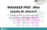 MANAGER PRO! -Mini scoala de afaceri! · 2019. 7. 22. · de negocierea comerciala 3 zile Modul 3, Aspecte financiare ale afacerii, 3 zile Modul 4, Prezentarea si sustinerea solutiilor