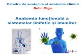 Anatonia funcțională a sistemelor limfatic și imunitar...Sistemul limfatic Sistemul limfatic este parte integrantă a sistemului vascular şi reprezintă un ansamblu de vase prin
