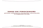 GHID DE PROCEDURIadecjr.ro/wp-content/uploads/2016/05/Ghid-final... · 2016. 5. 13. · alinierea la Standardele Internaţionale de Contabilitate GHID DE PROCEDURI 5. 6 pentru Sectorul
