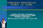 CHIRURGIA RINICHIULUI DUBLU LA COPIL · 2019. 3. 4. · 2 Frecvenţa anomaliilor tractului urinar la copil Anomaliile tractului urinar reprezintă 35 –45 % din toate anomaliile