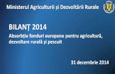 BILANȚ 2014 - Guvernul Romanieigov.ro/fisiere/stiri_fisiere/Absorbtie_fonduri_europene... · 2015. 1. 8. · Direcția generalăbuget finanțe și fonduri europene MADR (DGBFE) cu