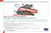 Norme de conduită în terapia antimicrobiană la pisică...27 AFECŢIUNI DERMATOLOGICE Se va recomanda evaluarea citologică a leziunilor în toate ca zurile în care se suspicionează