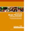 Rosia Montana Roşia Montană - RMGC · 2012. 2. 26. · Formular pentru prezentarea soluţiilor de rezolvare a problemelor semnalate de public Proiectul Rosia Montana Bucureşti,