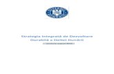 Strategia Integrată de Dezvoltare - AOAMP · 2018. 12. 2. · Strategia Integrată de Dezvoltare Durabilă (a Deltei Dunării) Studiu de Fezabilitte Sistem(e) Informatic(e) Geografic(e)