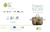 Floarea'n BUCATE...(din inima Transilvaniei) BUCATE Floarea'n În cadrul acestui proiect au fost implicate organizaþii din 5 þãri europene: România, Bulgaria, Slovenia, Croaþia