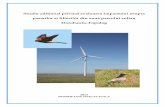 Studiu aditional privind evaluarea impactului asupra pasarilor si …landpower.ro/ro/proiecte/doc/Studiu Aditional.pdf · 2016. 1. 26. · Pasarile migratoare 42 Pasari cuibaritoare