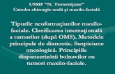 Tipurile neoformaţiunilor maxilo faciale. Clasificarea ......USMF “N. Testemiţanu” Catedra chirurgie orală şi maxilo-facială Tipurile neoformaţiunilor maxilo- faciale. Clasificarea