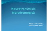 Băluță Cezar -Valeriu Medic rezident anul I...2020/06/03  · colon iritabil Mirabegron - Polakiurie BetaBlocante Interac țiunea NA cu monoaminele NA interacționează cu neuronii