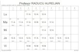 Profesor RADUCU AURELIANcnodobescu.ro/wp-content/uploads/2017/09/prof-final.pdf · 2017. 9. 24. · colegiul national liceal al. odobescu, pitesti, arges orar generat:9/24/2017 asc