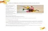 Inițiere în Ikebana, arta japoneză a aranjamentelor floraleiasifun.ziaruldeiasi.ro/wp-content/uploads/2013/10/Detalii-Ikebana.pdf · Aranjamente Ikebana de bază (Moribana, Nageire,