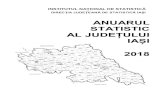 ANUARUL STATISTIC AL JUDEȚULUI IAȘI · 2020. 2. 11. · Anuarul Statistic al Judeţului Iaşi conţine un amplu volum de informaţii, organizate şi sintetizate într-o manieră