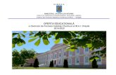 OFERTA EDUCAŢIONALĂ a Centrului de Formare Inițialăşi …cfic.ro/images/Documente/Invatamant/2018/oferta2019-2020.pdf · 2018. 11. 27. · 2 Centrul de Formare Inițială și