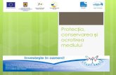 Protecția, conservarea și ocrotirea mediului · 2014. 4. 15. · Protecția mediului – ansamblu de măsuri tehnice, organizatorice și juridice cu scopul de a conserva și ocroti