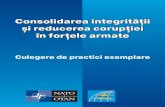 Consolidarea integrităţiiConsolidarea integrităţii Consolidarea … · 2013. 11. 11. · Jean-Jacques de Dardel (Elveția) – Cuvînt-înainte, François Melese (SUA) – Capitolele