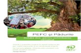 PEFC și Pădurile · 2020. 1. 20. · Schimbările climatice și produsele forestiere Pădurileau mai mult de oferit decâtsăacționezeca niște bureți de carbon; șiaceste sunt