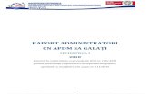 SEMESTRUL I 2018romanian-ports.ro/AGA/Raport CA_sem I 2018 CA+Anexe.pdf · 2021. 2. 16. · 2018 8 Acoperire servicii de mediu 100 % comenzi onorate preluare deșeuri provenite de