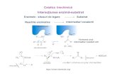 Interacțiunea enzimă-substratCinetica reactiilor enzimatice - teoria starii stationare k2 = k cat vmax = [E] 0 kcat v = vmax [S] Km + [S] Ecuatia Michaelis-Menten. Introduction to