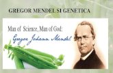GREGOR MENDEL SI GENETICA · 2020. 12. 20. · Gregor Mendel, Crucea Ordinului de slujire pentru societate și iserică. În general, în ciuda faptului că activitatea sa în genetică