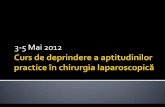 ARCE - 3-5 Mai 2012 curs...13.15 Abordul laparoscopic in patologia abdominala – indicații și avantaje. V. Bintintan 13.30 Rezolvarea situațiilor speciale in chirurgia laparoscopica