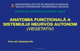 SISTEMULUI NEURVOS AUTONOM ... 4 Sistemul nervos autonom. Introducere Formațiunile centrale ale SISTEMULUI NERVOS SOMATIC (sistem nervos al vieții de relație) sunt reprezentate