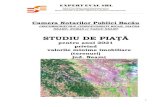 STUDIU DE PIAŢĂ - unnpr.ro · 2020. 12. 16. · hidrotehnice, termice, de transport al energiei, gazelor naturale si instalatiile aferente acestora, constructii si instalatii pt