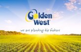 ACTIVITĂŢI - Home Golden West...90 înGrecia şi-i destinat regiunii Mediteraniene. Direcţiileprincipale de ameliorare sunt productivitatea înaltă, calitatea superioarăa fibrelor