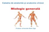 Catedra de anatomie și anatomie clinică · 2020. 10. 6. · congenitale ale musculaturii; se manifestăla diferite intervale de timp dupănaştereșiau un substrat genetic. •