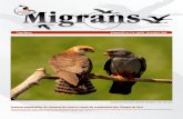 Statutul populaţiilor de vânturel de seară şi cioară de semănătură … · 2012. 5. 16. · va amfibieni ca buhaiul de baltă cu burtă roşie (Bombina bombi-na), broasca de