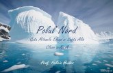 Polul Nord - nenitescu.ronenitescu.ro/lectii/optionalstiinte/Polul_Nord.pdf · 4.Polul Nord inaccesibil "Northern Pole of Inaccessibility" acest pol este numit și Arctic, fiind punctul