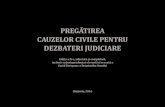 PREGĂTIREA CAUZELOR CIVILE PENTRU DEZBATERI JUDICIAREbizlaw.md/wp-content/uploads/2017/01/Pregtirea-cauzelor... · 2018. 11. 23. · PREGĂTIREA CAUZELOR CIVILE PENTRU DEZBATERI