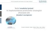 Rolul mediului privat în implementarea proiectelor strategice Calugaru.pdfPortofoliu de cliențidiversificat: guverne, organizații publice europene șiinternaționale,autoritățiregionale