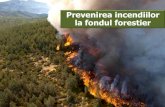 Prevenirea incendiilor la fondul forestier...naţional au obligaţia să participe la acţiunile de prevenire şi stingere a incendiilor la fondul forestier naţional. Ordinul comun