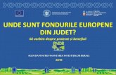 UNDE SUNT FONDURILE EUROPENE DIN JUDET? · 2019. 10. 31. · 81 proiecte 4,14 mil lei sM6.2 S sM19.2.6.2 Sprijin pentru înființarea activităților neagricole in zone rurale 87