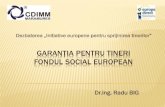 Garanția pentru tineri Fondul Social Europeaneuropedirect.cdimm.org/wp-content/uploads/2013/12/1... · 2013. 12. 11. · GARANȚIA PENTRU TINERI O poveste de succes Finlanda a dezvoltat