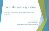 Tineri Lideri pentru Agricultură...2019/11/19  · Instruire și consiliere pentru managementul performant al fermelor tinerilor Instruire și consiliere pentru investiții inovatoare